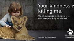 One of the billboards.