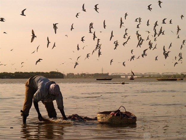 A fisherman at work in the White Nile. Half the river’s flow is lost to evaporation from the Sudd swamps, a large wetland.  CC BY-NC-ND