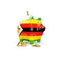Zimbabwe's economic recovery presented to investors