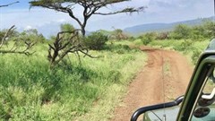 SA woos 85 Nordic tour operators