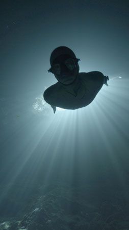 National Geographic taps Academy Award nominee Will Smith as host of One Strange Rock