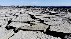 Disasters cost farmers in developing countries billions of dollars