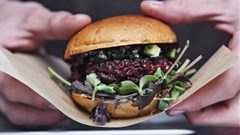 Ikea's &quot;fast food of the future&quot; includes worm balls, bug burgers and algae hot dogs