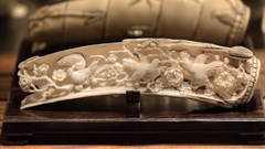 Antique ivory – defined as pre-1947 worked ivory – is an exception and can be traded in the UK and EU. Flickr/James Picht