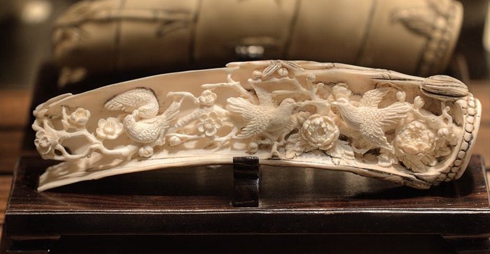 Antique ivory – defined as pre-1947 worked ivory – is an exception and can be traded in the UK and EU. Flickr/James Picht