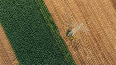 Photo by Max Boettinger on