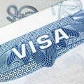 Electronic SA visa applications to curb fake permits