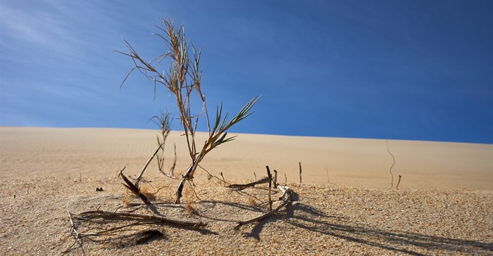 Photo by Wolfgang Hasselmann on