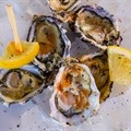 Lots on offer at Pick n Pay Knysna Oyster Festival