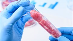 Should lab-grown meat be labelled as meat when it's available for sale?