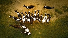 Photo by Filip Bunkens on