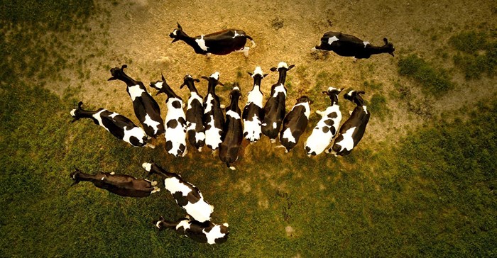 Photo by Filip Bunkens on