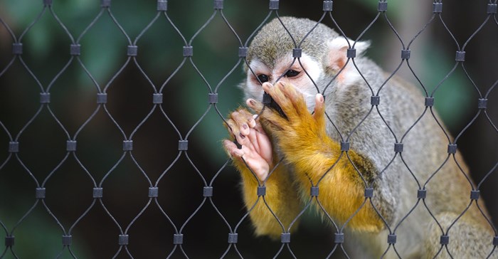 Photo by Laurenz Kleinheider on