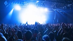 What business is Castle Lite in?