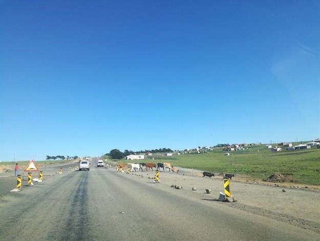Road works continue between Lusikisiki and Mthatha while the battle over the road rages. Photo: Thembela Ntongana
