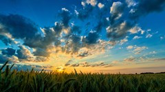 Andreas Krappweis via