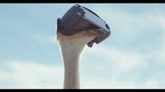 Samsung's &quot;Ostrich&quot; by MJZ and MPC of Los Angeles with Leo Burnett Chicago, snags nine finalist spots.