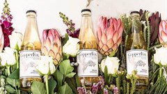 Meet the Maker: Nicole Warden from CopperFox G&T