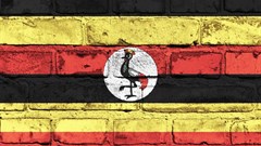 Why my startup scene is better than yours: Uganda