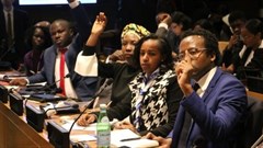 African youth participate at an international youth forum at the UN headquarters in New York. Photo: Africa Renewal/Shu Zhang