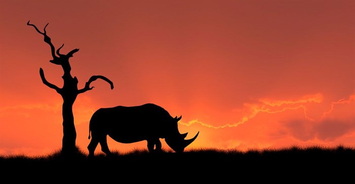 SA policeman, former army general among those arrested for alleged rhino poaching