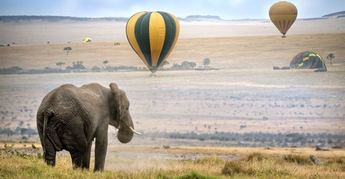 How to overcome fierce debates about banning all trade in ivory