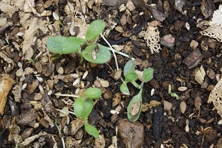 #WTMA18: Experiencing the wild with Aquila Safaris