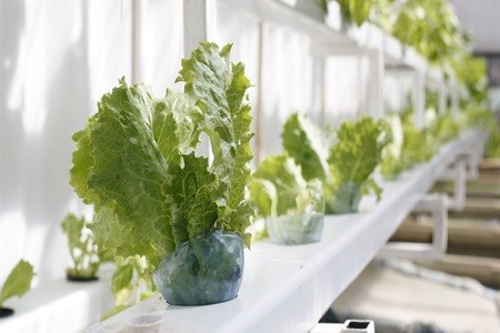 #WTMA18: Experiencing the wild with Aquila Safaris