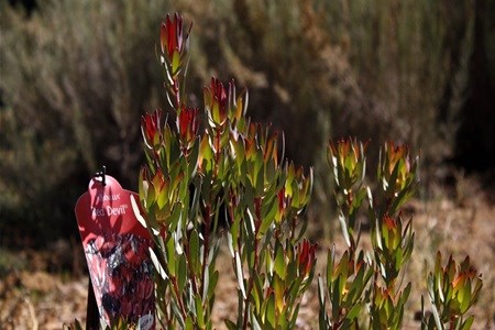 #WTMA18: Experiencing the wild with Aquila Safaris