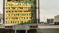 Deteriorating fuel prices to hit consumers, farmers' profit margins