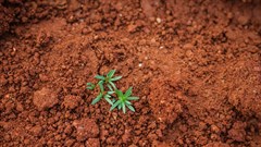 Photo by paul mocan on