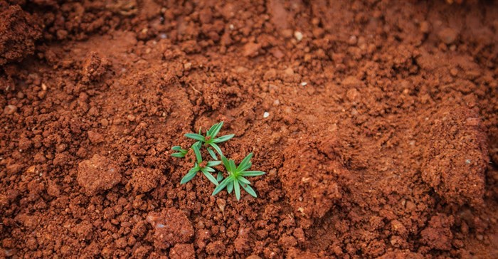 Photo by paul mocan on