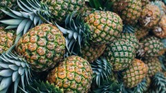 Photo by Maria Fernanda Gonzalez on