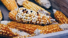 Photo by Emre Gencer on