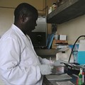 Very few laboratories in Uganda are accredited. Arne Hoel / World Bank