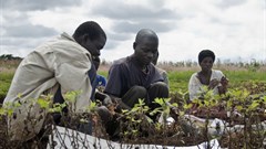 Swathi Sridharan via