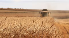 Photo by meriç tuna on