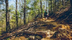 How a 'smart countryside' can use technology for greener ends