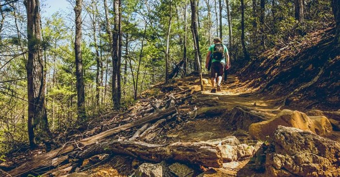 How a 'smart countryside' can use technology for greener ends