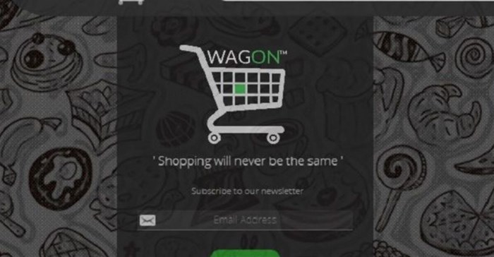 Kenya's Wagon Shopping posts strong growth as it seeks funding
