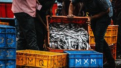 Photo by Aman Bhargava on