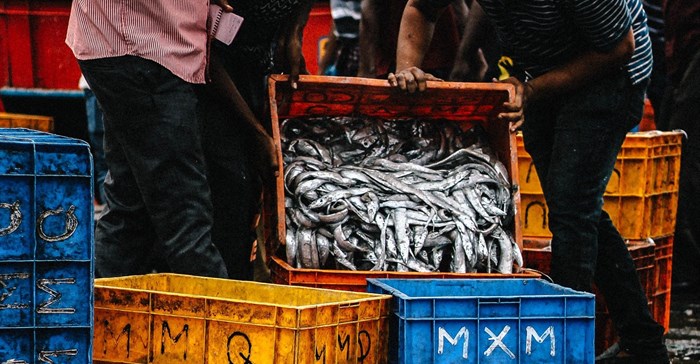 Photo by Aman Bhargava on