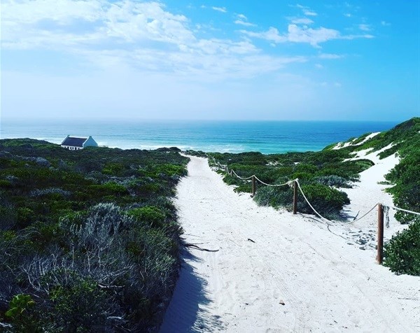 Image credit: Lauren Hartzenberg