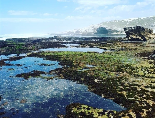 Image credit: Lauren Hartzenberg