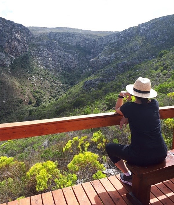 Vulture viewing deck. Image credit: Lauren Hartzenberg