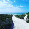Whiling away days at De Hoop - a nature lover's respite