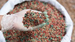 Toward sustainable ammonia production