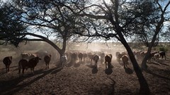 Jean Bucher & Hp.Baumeler via