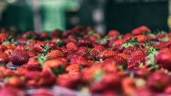 Photo by James Sutton on