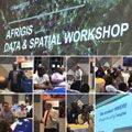 AfriGIS Data and big data providing valuable business insights